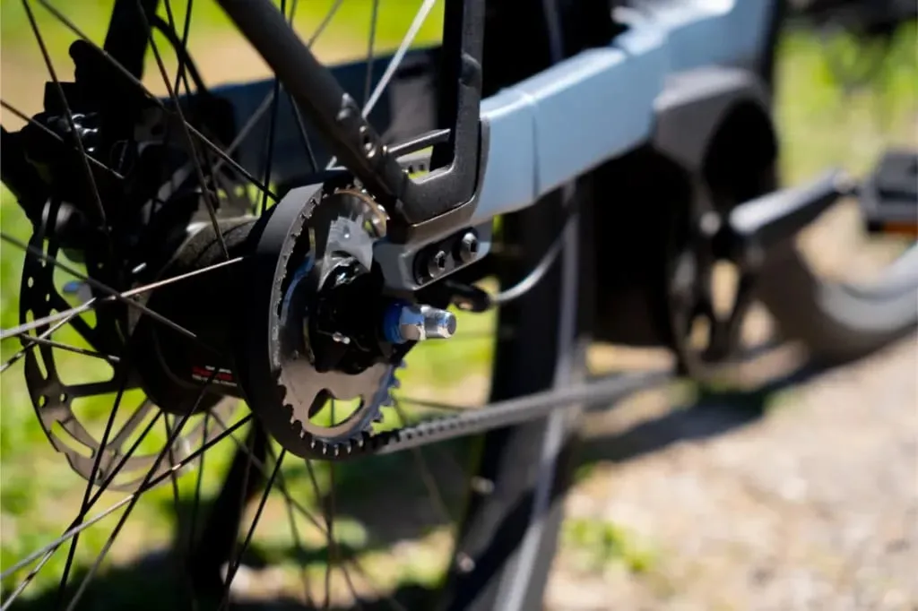 Primer plano de la rueda trasera de una Riese & Müller Nevo5, mostrando los engranajes, la cadena y el freno de disco con tecnología silent CORE en un día soleado-lujo accesible para cualquier paseo.