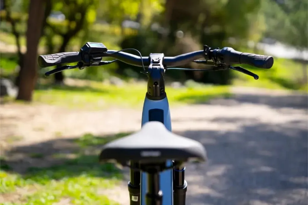 Primer plano del manillar y el sillín de una bicicleta Nevo5 de Riese & Müller, al aire libre en un camino soleado con vegetación de fondo, mostrando el silencioso confort CORE y el lujo accesible.