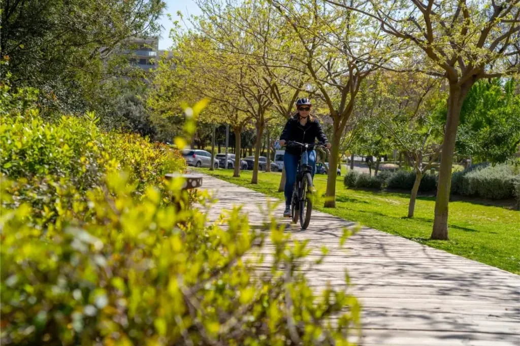 Pedalea con una Riese & Müller Nevo5 por un sendero de madera a través de un parque soleado con árboles verdes y arbustos-experimenta el lujo accesible en cada paseo.