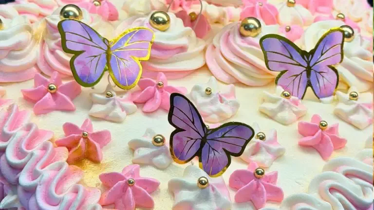 Continental Food Recipes 14 Stunning Homemade Butterfly Birthday Cake for My Friend 🦋✨