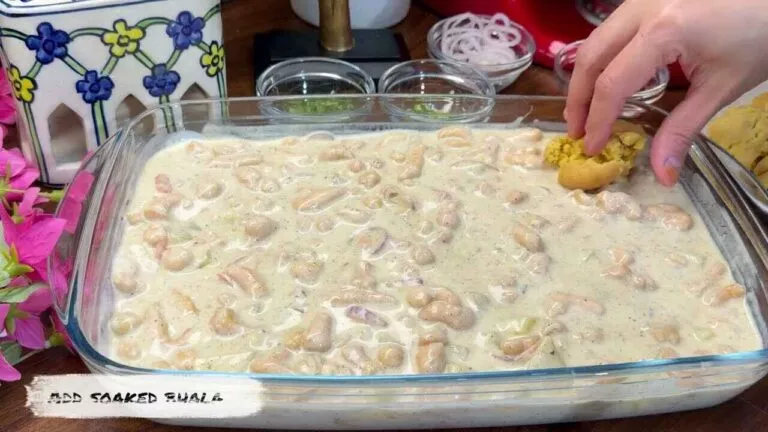 Continental Food Recipes 13 Dahi Bhalla Chaat Recipe