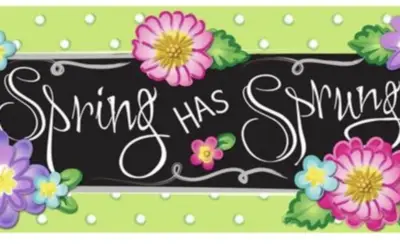 2026 Spring has Sprung Schooling Show I & II