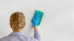 Cat Tembok Yang Bisa Di Lap