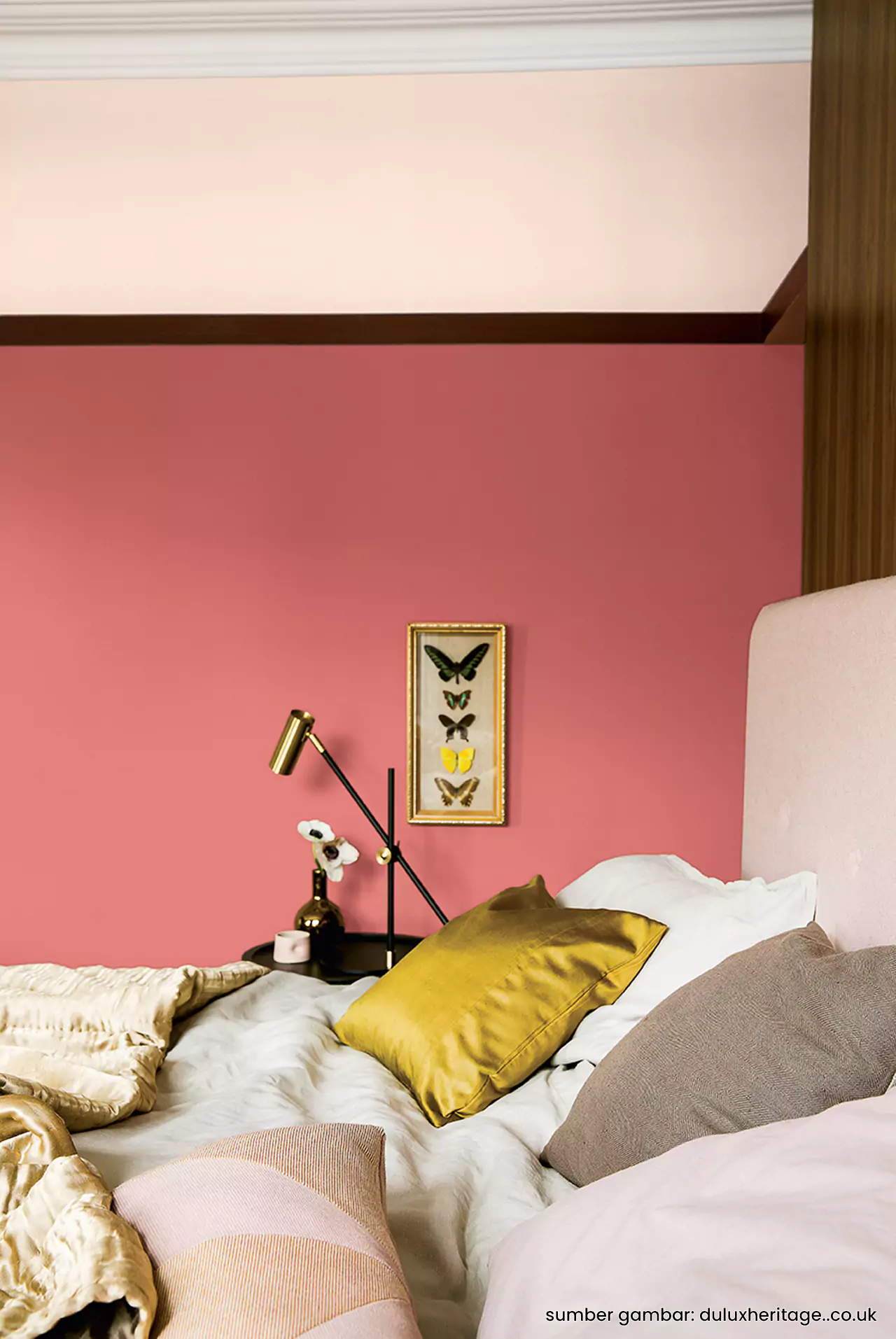 Cat Kamar Warna Coral Yang Bagus Untuk Perempuan