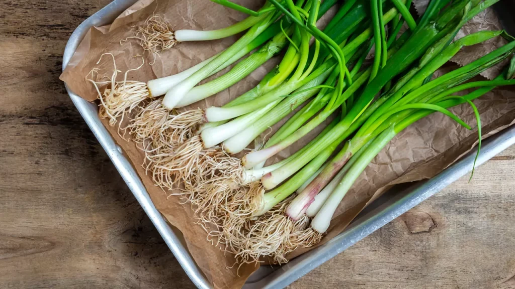 Cara Menyimpan Daun Bawang Di Kulkas