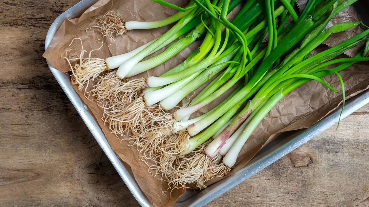 Cara Menyimpan Daun Bawang Segar agar Tetap Fresh Lebih Lama Cara Menyimpan Daun Bawang Segar agar Tetap Fresh Lebih Lama