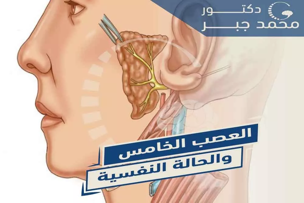 ุงูุนุตุจ ุงูุฎุงู
ุณ ูุงูุญุงูุฉ ุงูููุณูุฉ