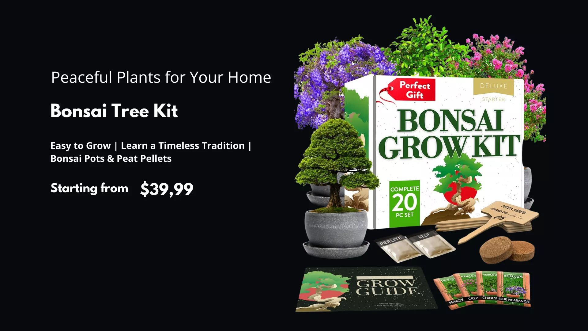 Bonsai Tree Kit - Black Home