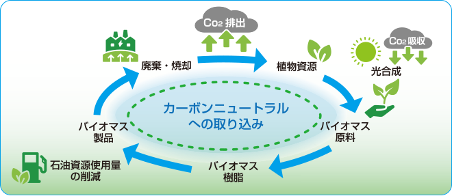 image_biomass02