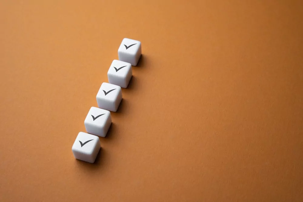 image_Everything,Is,Ready,To,Go.,Checkboxes,In,The,List,By