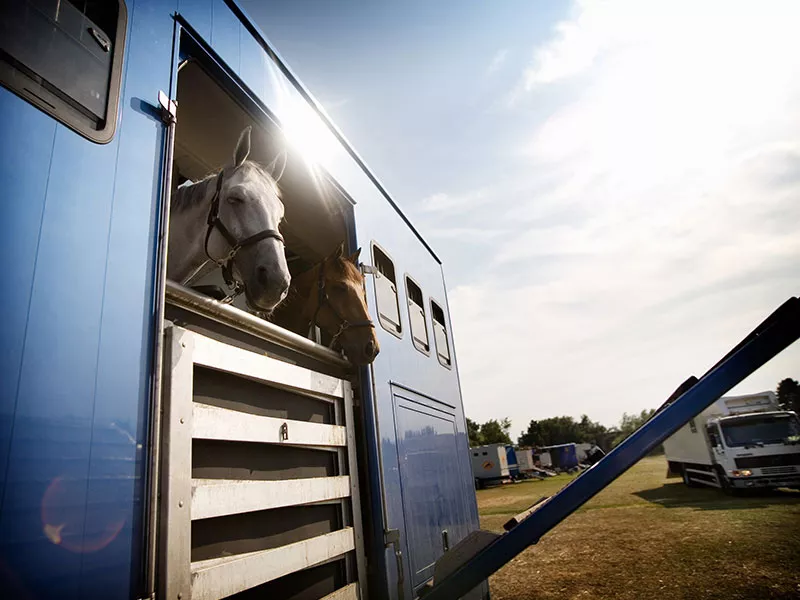 horse-trailer-financing-rates