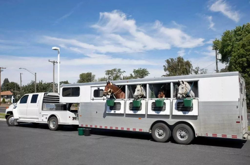A horse trailer financed through a horse trailer loan with horses sticking their heads out of the windows