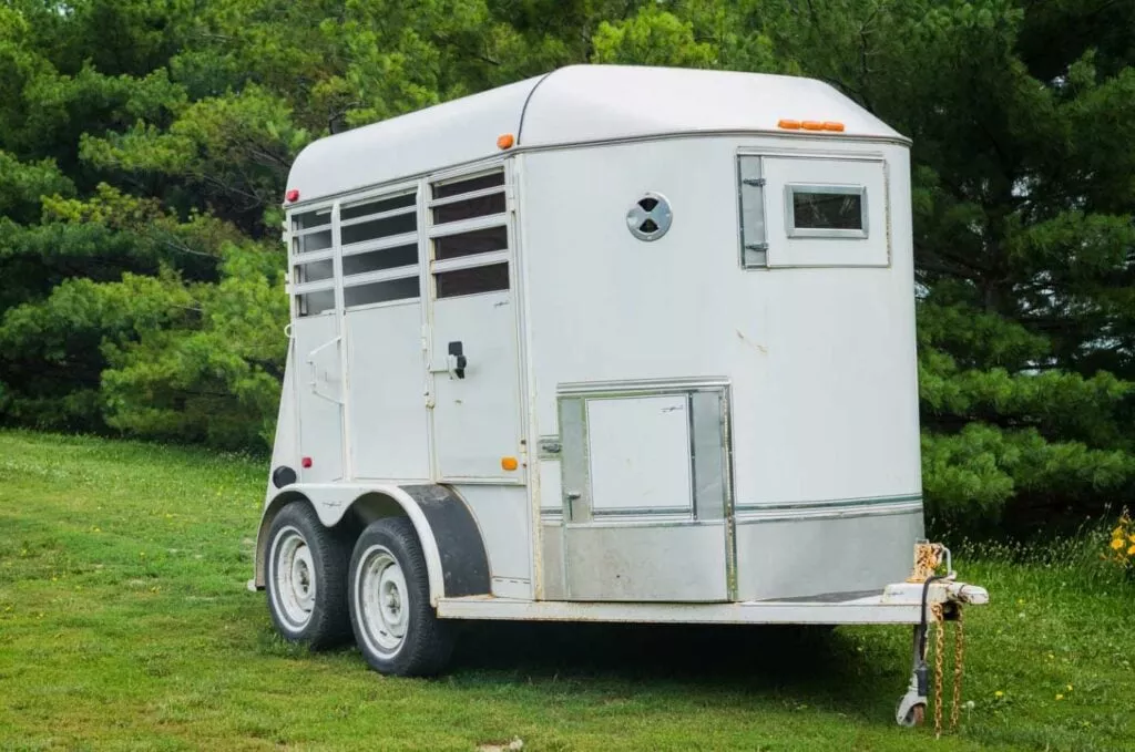 A pony trailer in green grass for sale with pony trailer financing
