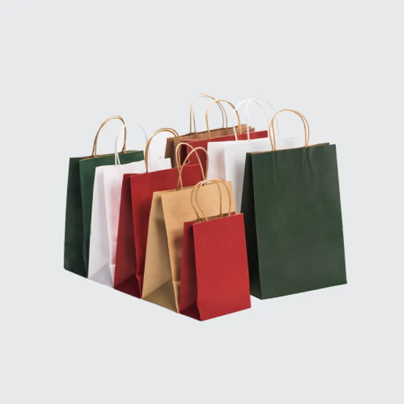 Twisted Handle Paper Bags