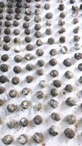 projet de bokashi ball