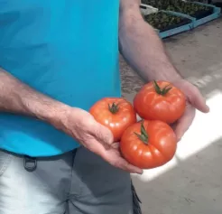 Magazine 25 Article 7