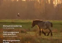 EM Magazine 27 Cover