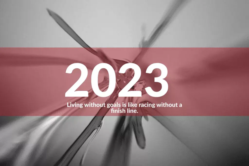 2023 goals