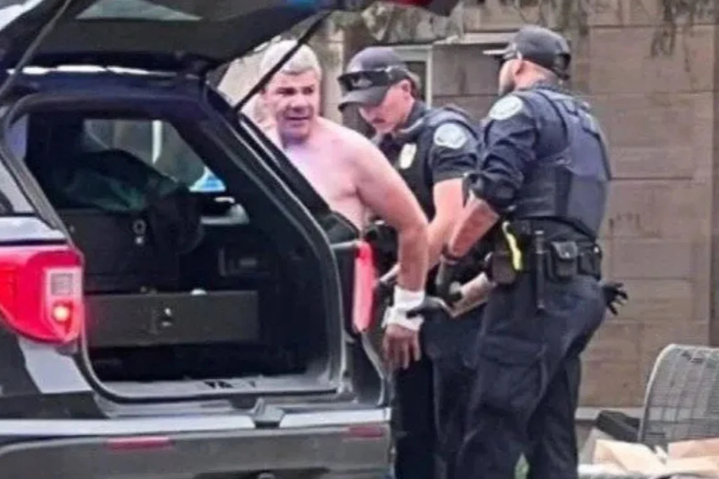 Attack on pro-Israel demonstration: Several injured, perpetrator arrested