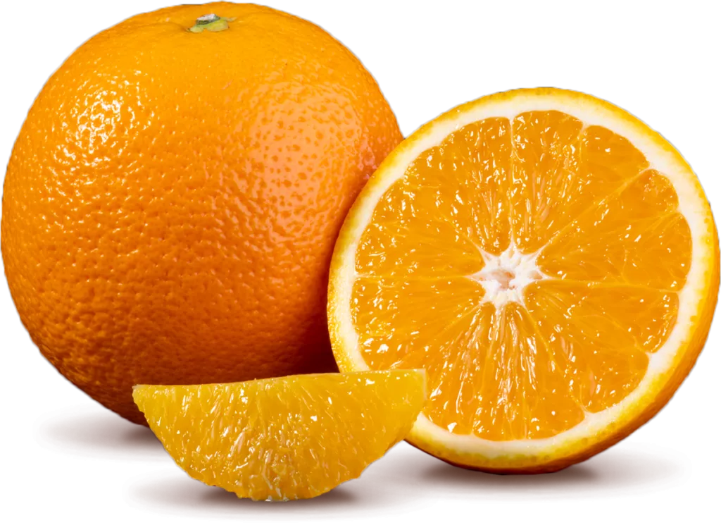 1 Navel | Citrus Fruit Export