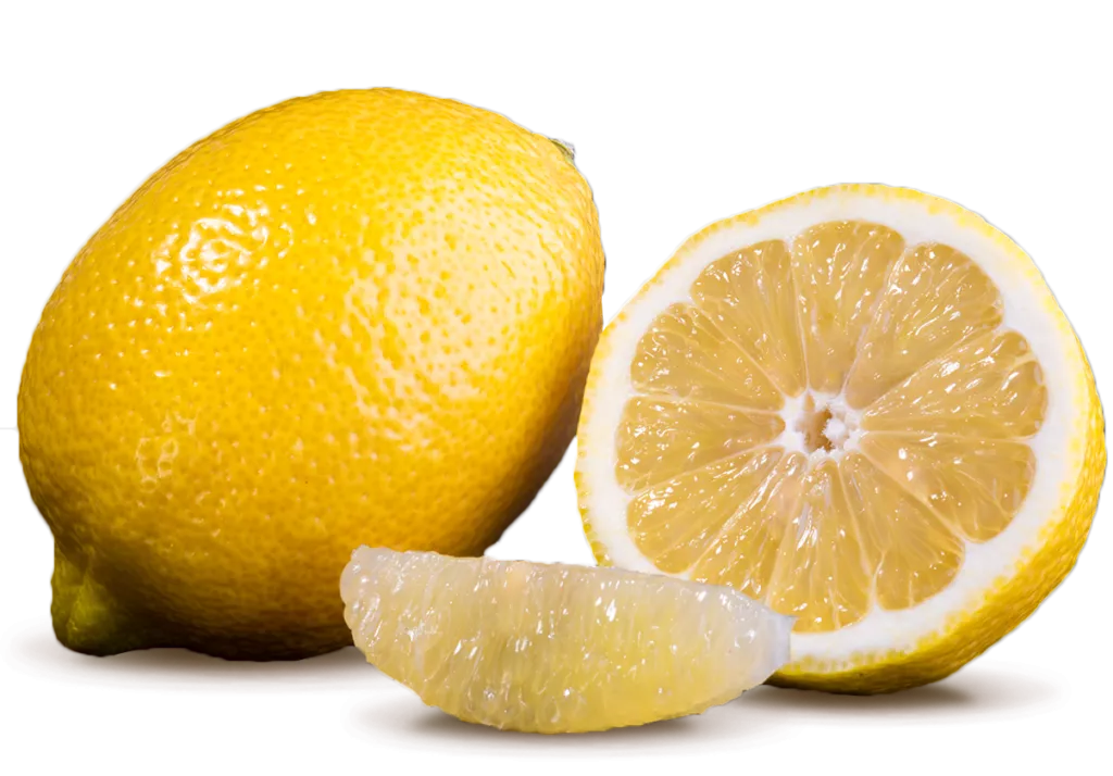 Top Lemon Growers + Exporters