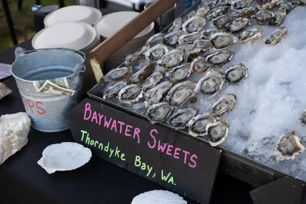 Fresh oysters from Baywater Sweets, Thorndyke Bay, on ice with a tip bucket.