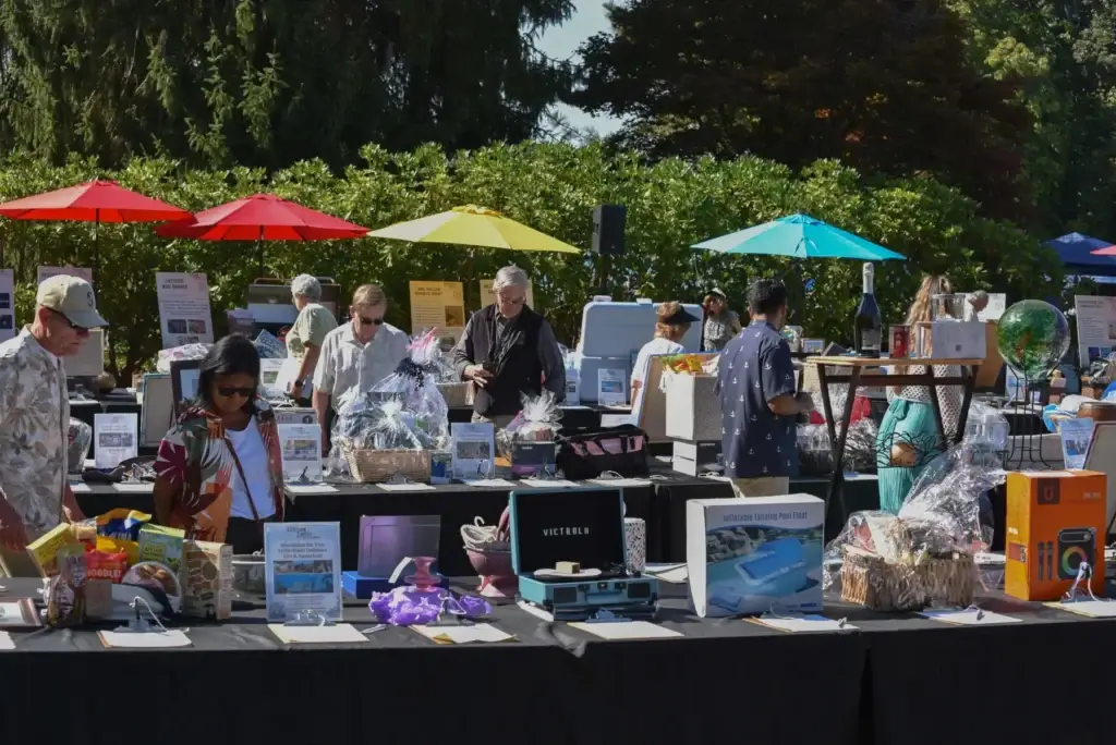 People browse auction items at an outdoor event under colorful umbrellas.