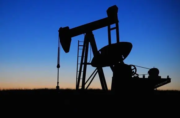 Petroleum Geology