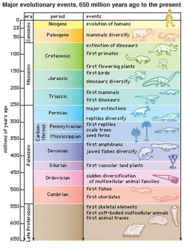 Time Scale