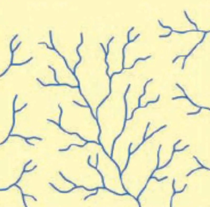 Dendritic