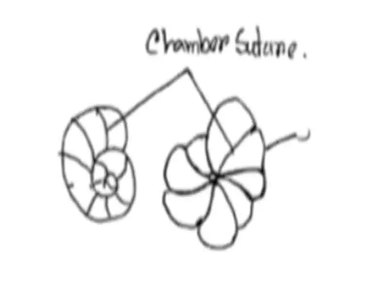 Chamber suture