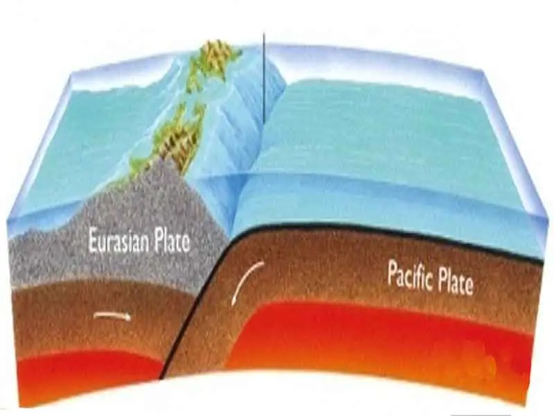 Oceanic and Oceanic Plates