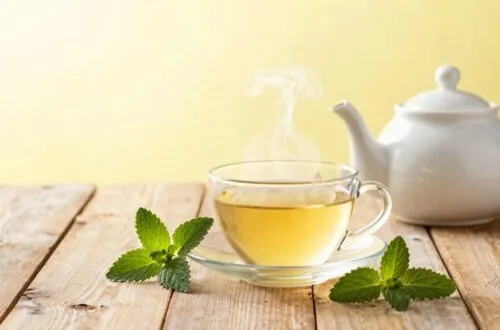 top lemon balm teas