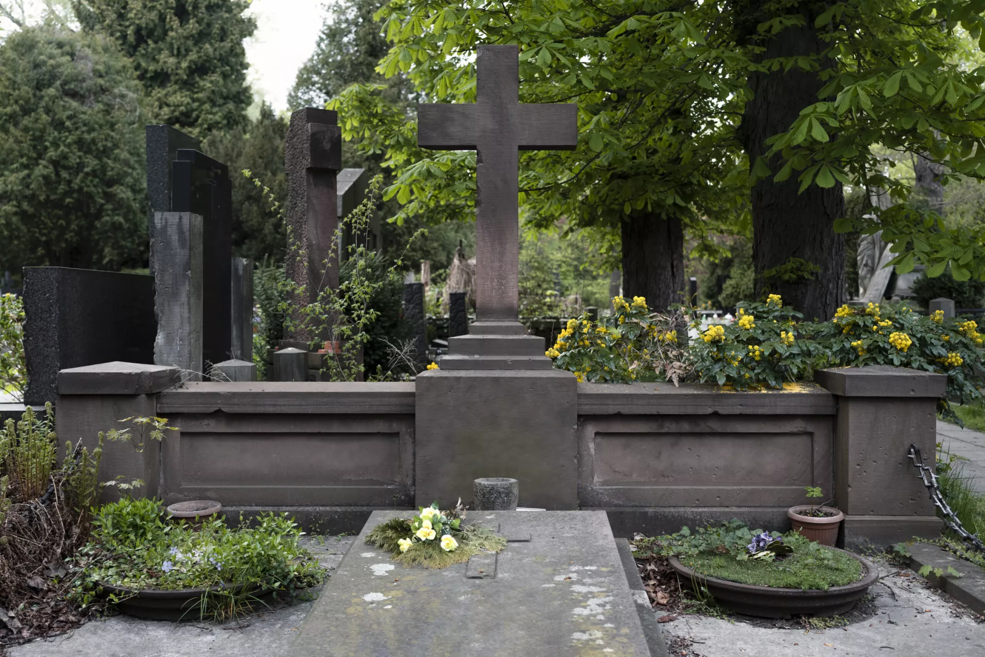 The Beauty of Stillness: Cemeteries That Inspire Calm and Creativity:-