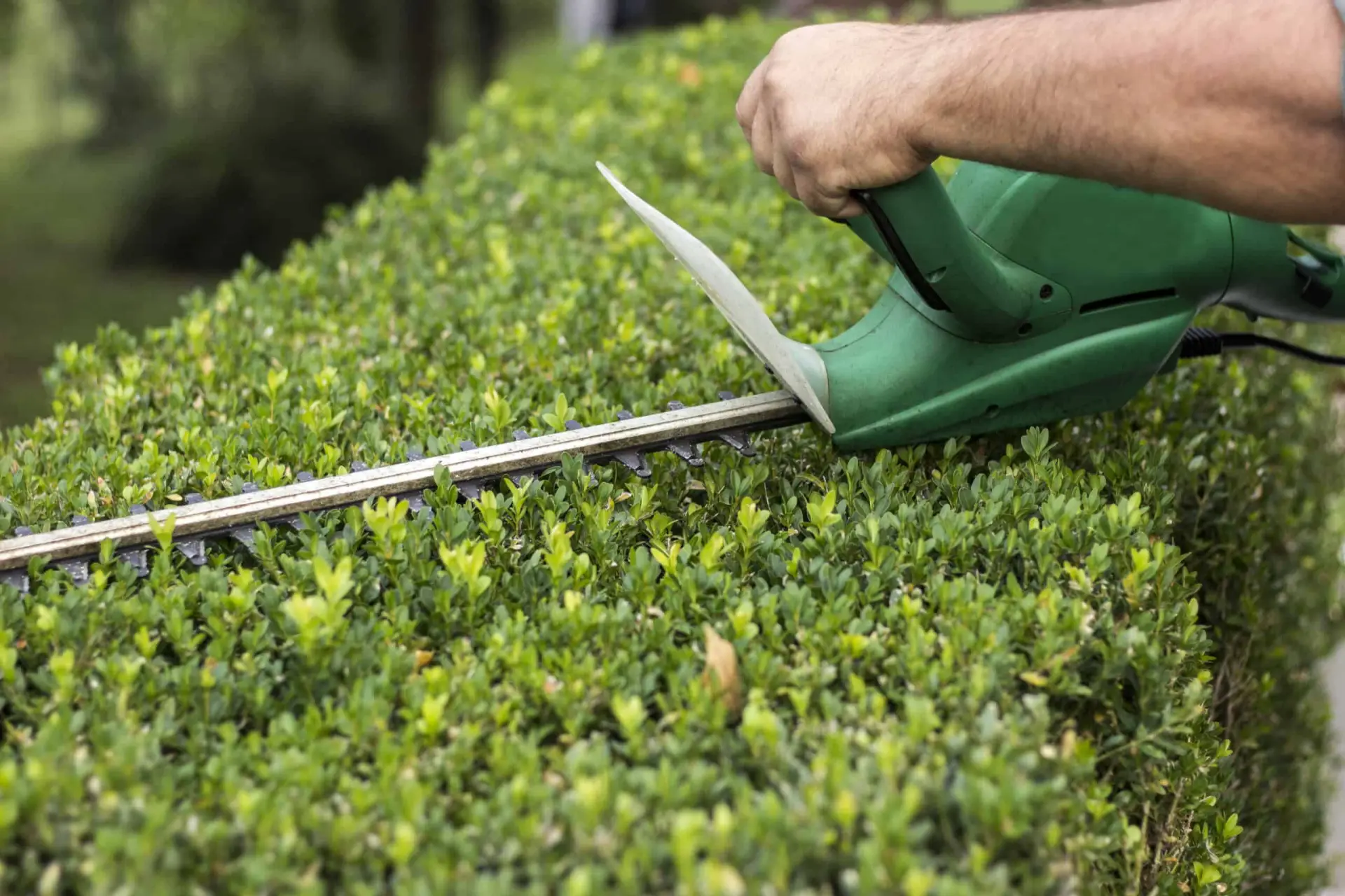 Arbeiter schneidet Büsche im Garten