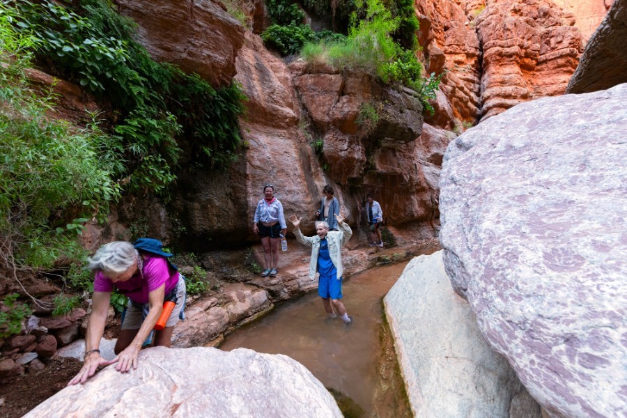 Hiking Creek in Grand Canyon Hatch River Expeditions people cross a creek in a side canyon in Grand Canyon and a man acts excited