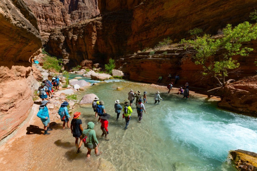 Side Hikes on a Grand Canyon River Trip: What You Need to Know 5 people walking through a shallow area of the colorado river