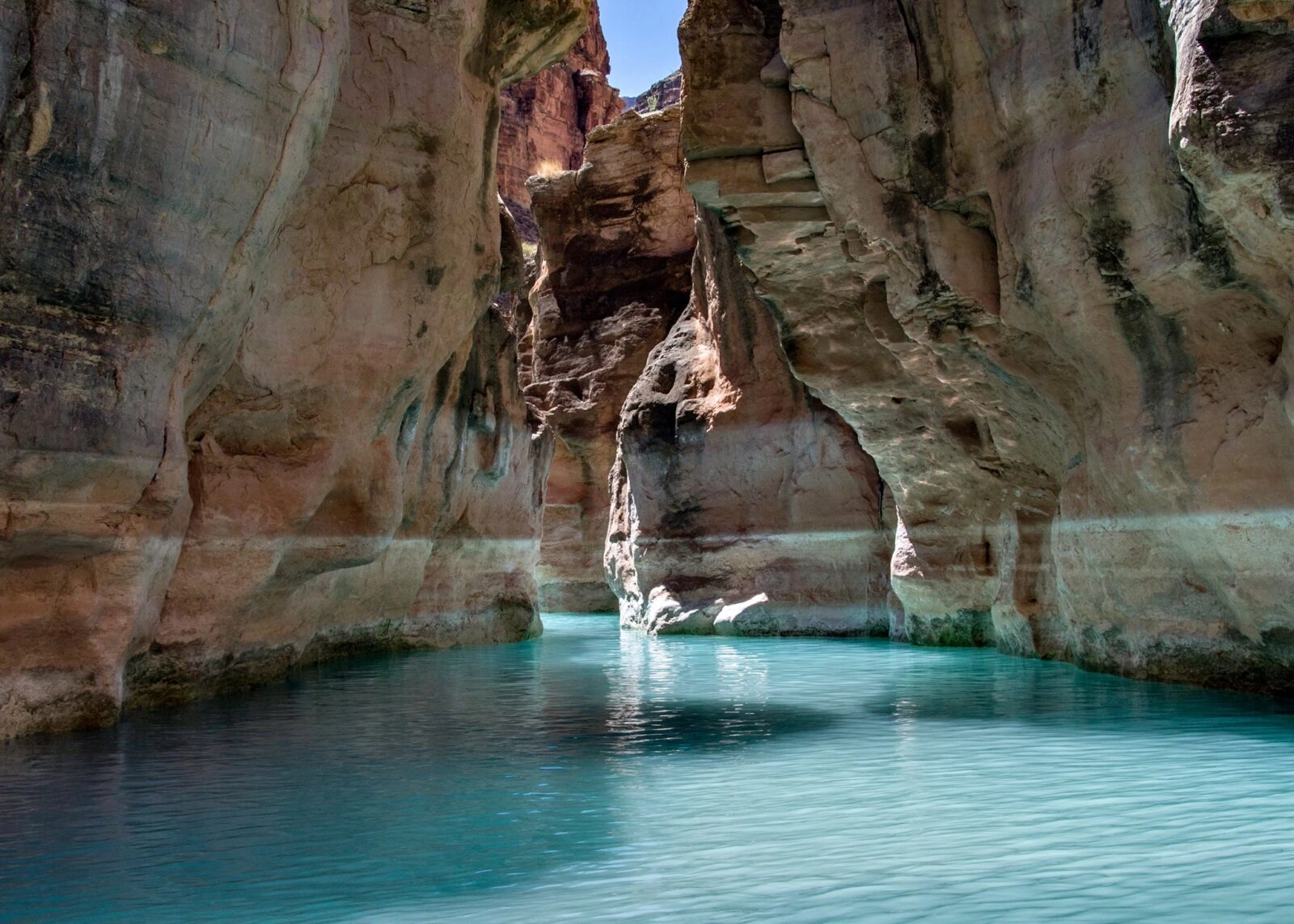 Havasu Creek Grand Canyon Hatch River Expedition Bright blue water in the bottom of Havasu Canyon near where it meets the Colorado River. Photo credit: Al Toepfer.
