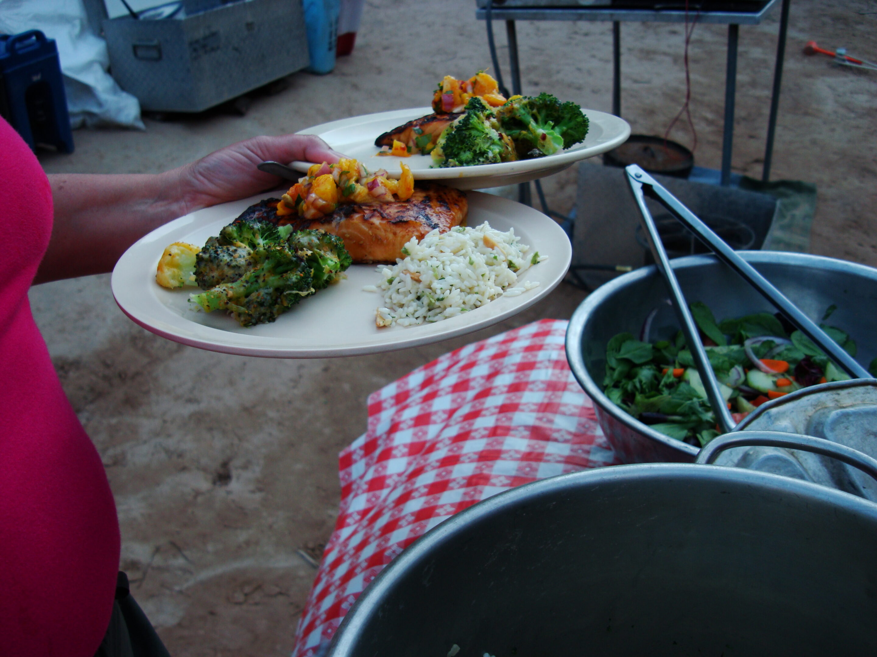 DSC03695 Person holding two plates and loading them up with chicken, rice, and broccoli.