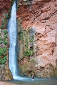 Grand Canyon Gems: Deer Creek 1 Guest in pool at Deer Creek