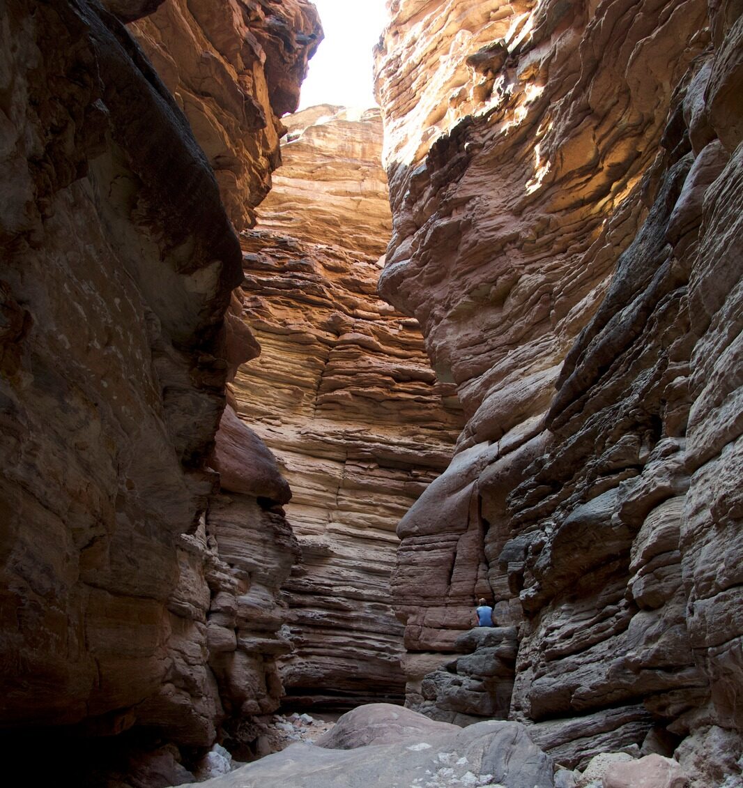 Guest at Blacktail Canyon Guest at Blacktail Canyon