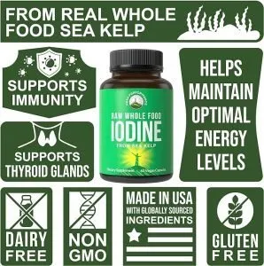 Raw Whole Food Iodine Supplement from Kelp (Ascophyllum Nodosum)