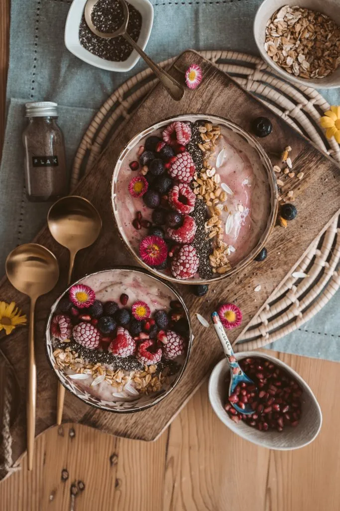 Vegan Warrior Video Course
