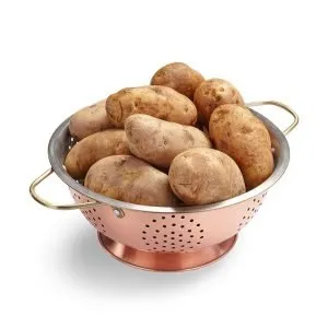 Russet Potato