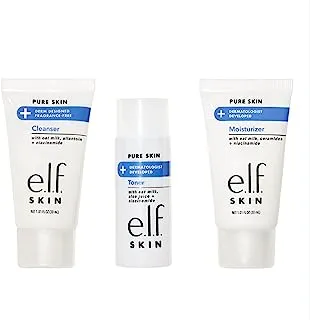 Skin Pure Skin Back to Basics Mini Kit