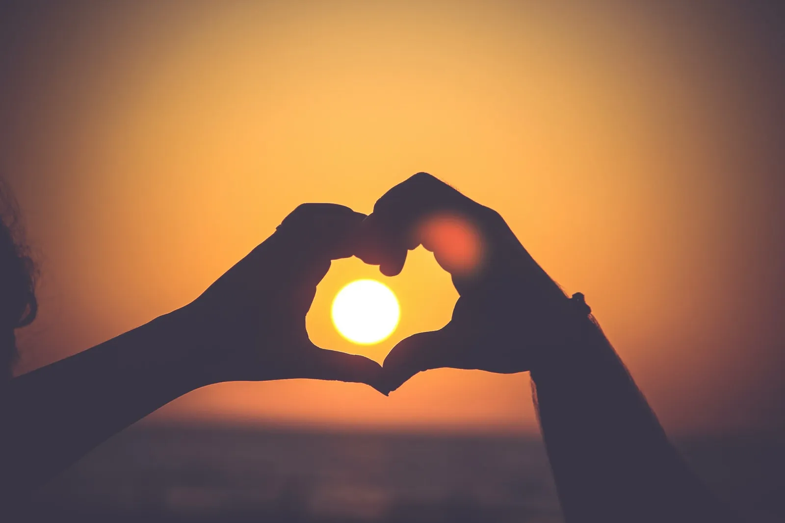 Nicht neues unter der Sonne - Das Leben ist tödlich