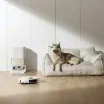 Best Robot Vacuum for Pet Hair - Robot vacuum cleaning pet hair on hardwood floor