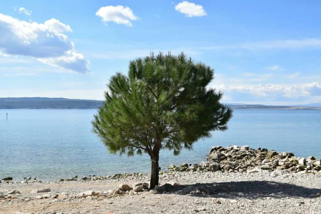 Beaches Crikvenica/Dramalj