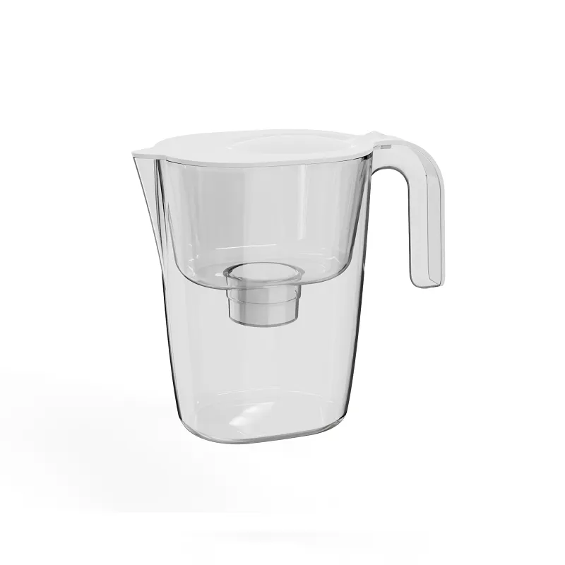 Carafe filtrante portable
