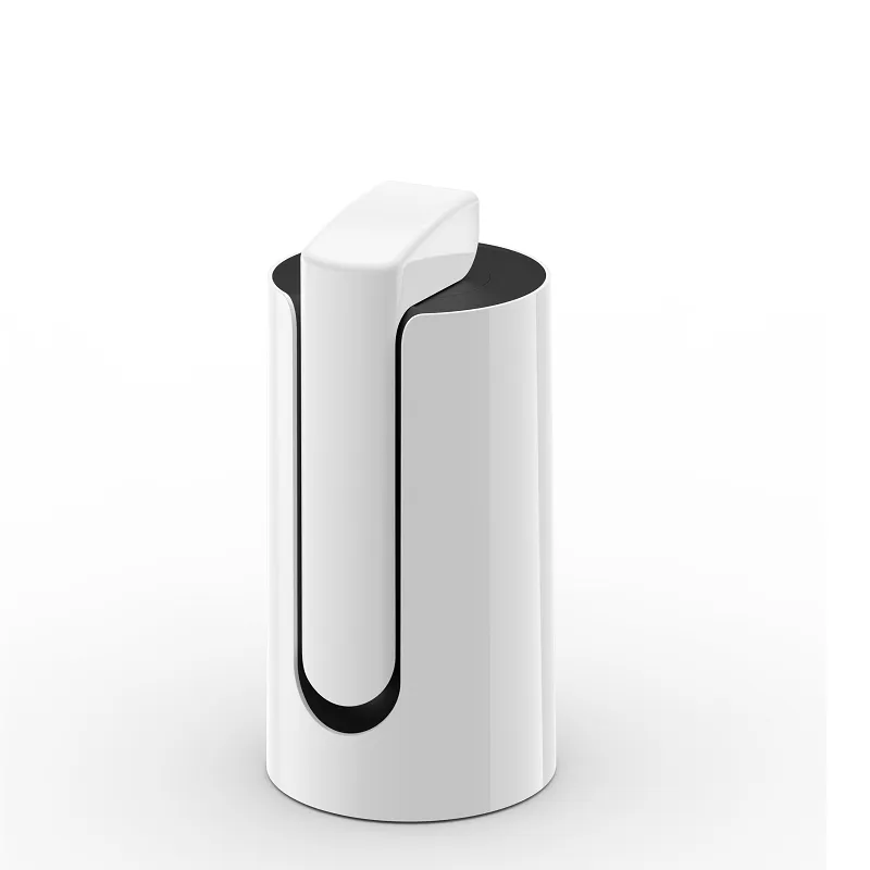 Diatom porcelain filter